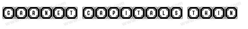 Garnet Capitals Thin字体转换